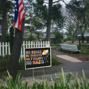 No Kings No Fascists No Tyrants No Nazis, Anti Trump Yard Sign