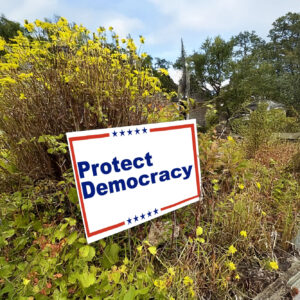Protect Democracy Yard Sign