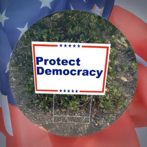 Protect Democracy Yard Sign